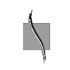 Profile image of haar-shop