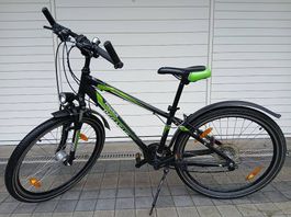 Pegasus, 24 Zoll