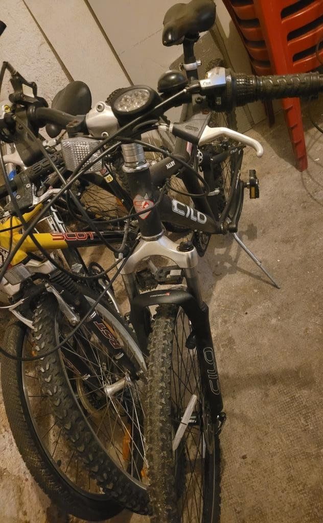Cilo Biciclette: A vendre Vélos marques: Cilo – Usato da Péry venduto da risotto6 4