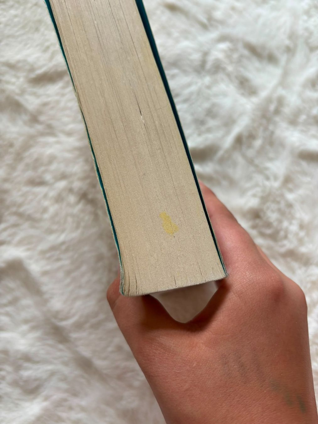 Libri: R.J Ellory - Le carnaval des ombres – Usato da Eschert venduto da elleajis 1