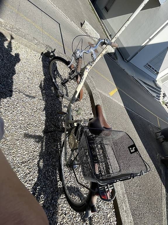 Velos: Damen Fahrrad  – Gebraucht aus Rebstein von nem_hq6q