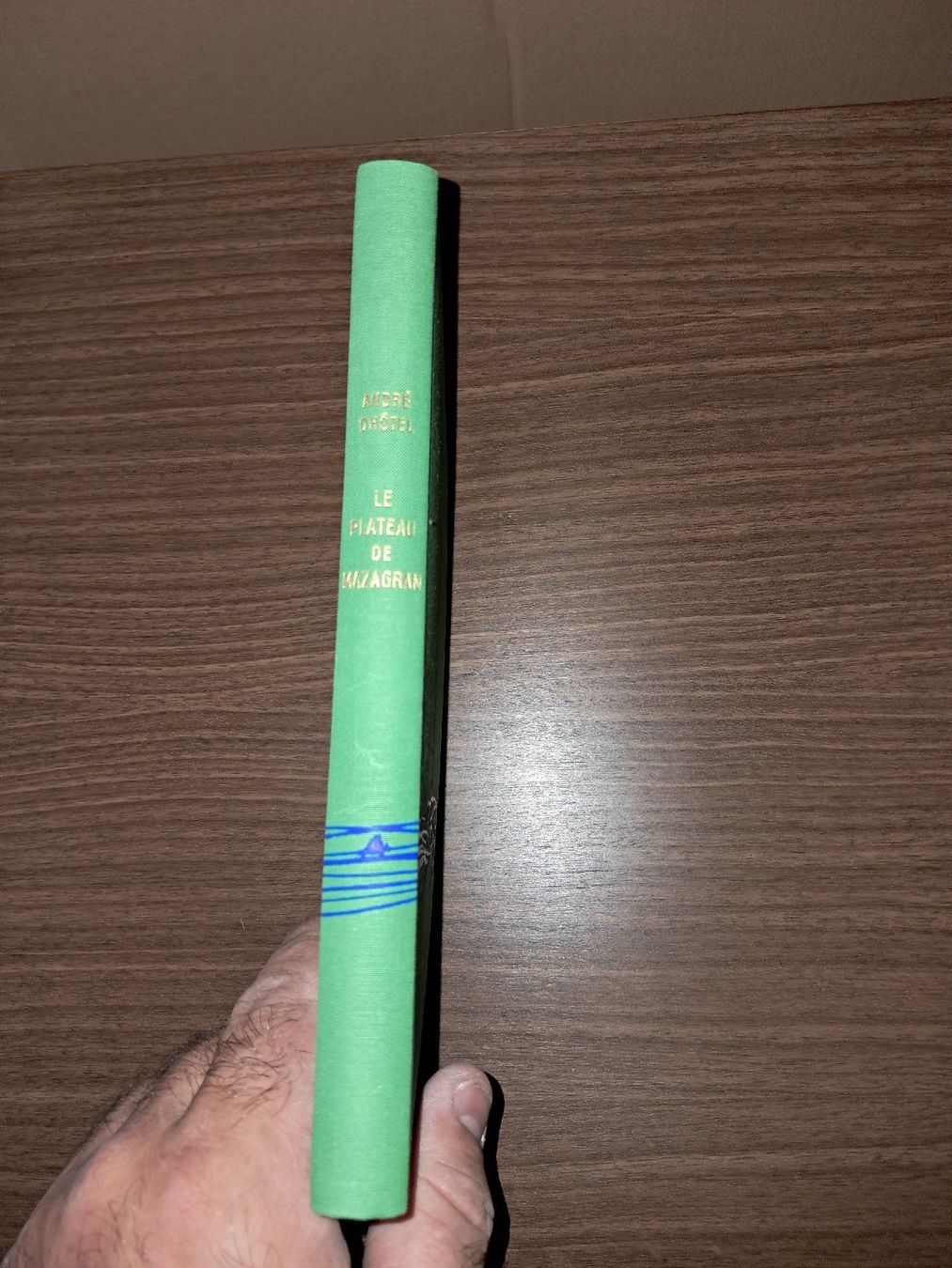 Libri: Le Plateau de Mazagran de André Dhôtel – Usato da Le locle venduto da juliensaran 2