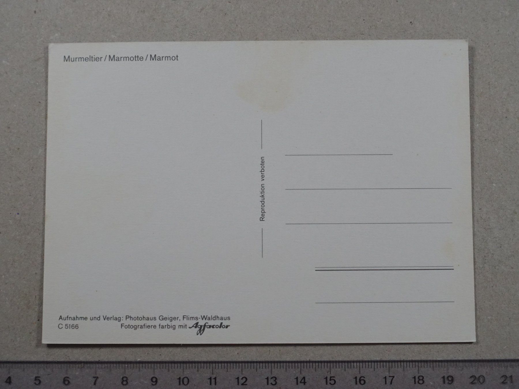 Ansichtskarten: Murmeltier – Gebraucht aus Lenzburg von fh1 1
