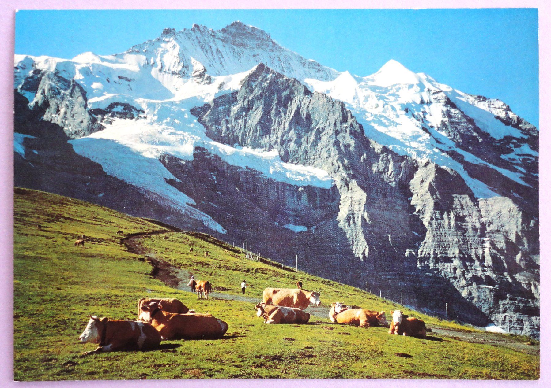 Cartes postales: Jungfrau – Défectueux à Fétigny par Billy2miny