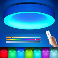 LED Deckenleuchte Deckenlampe 24W RGB dimmbar Fernbedienung