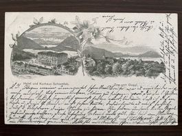 ZUG / ZUGERBERG Hotel & Kurhaus Schönfels, Zug vom Guggi