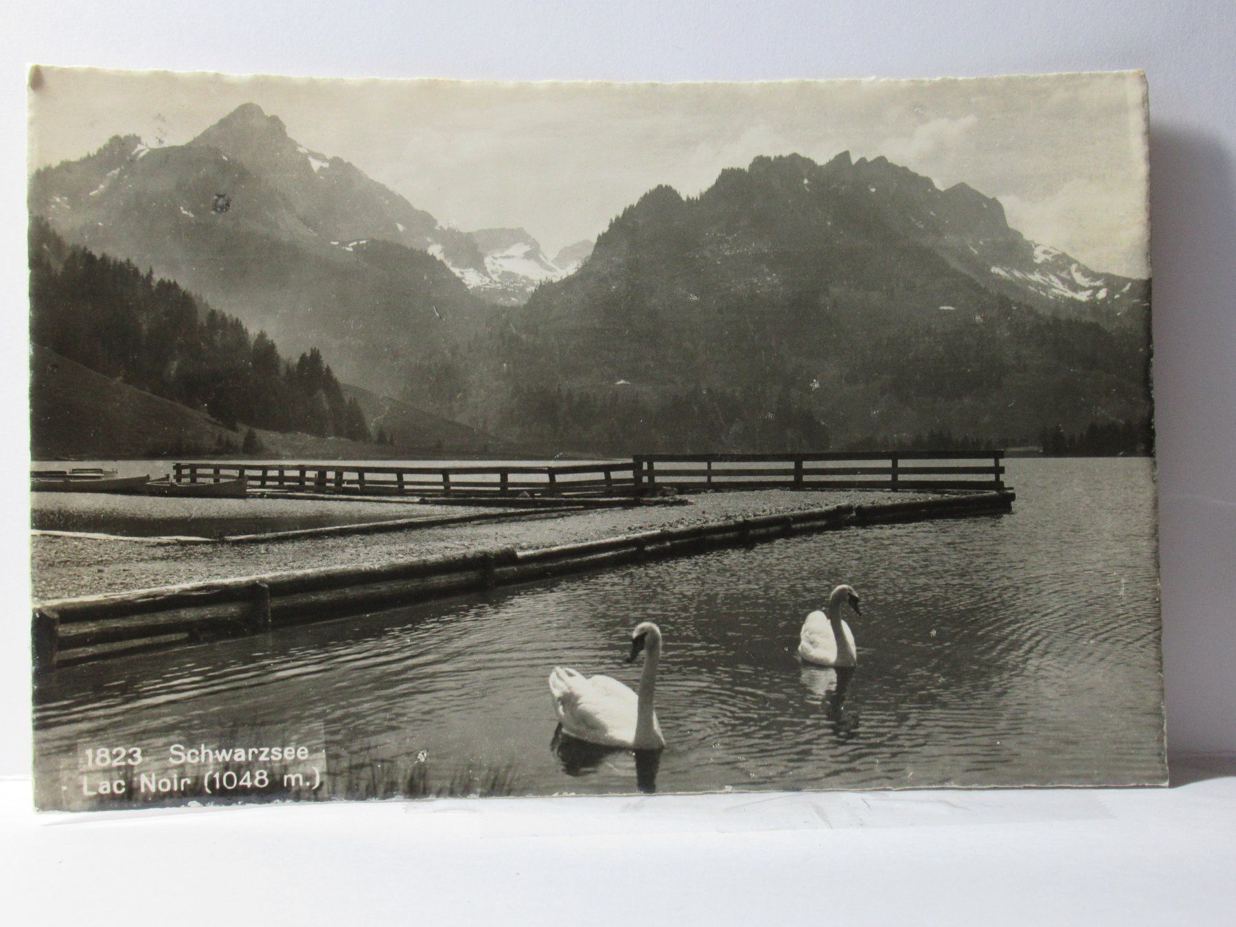 Cartoline postali: Schwarzsee , Schwäne  1948 – Usato da Grenchen venduto da Bluemchen1900
