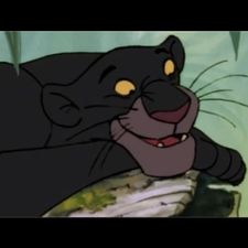 Profile image of Bagira40