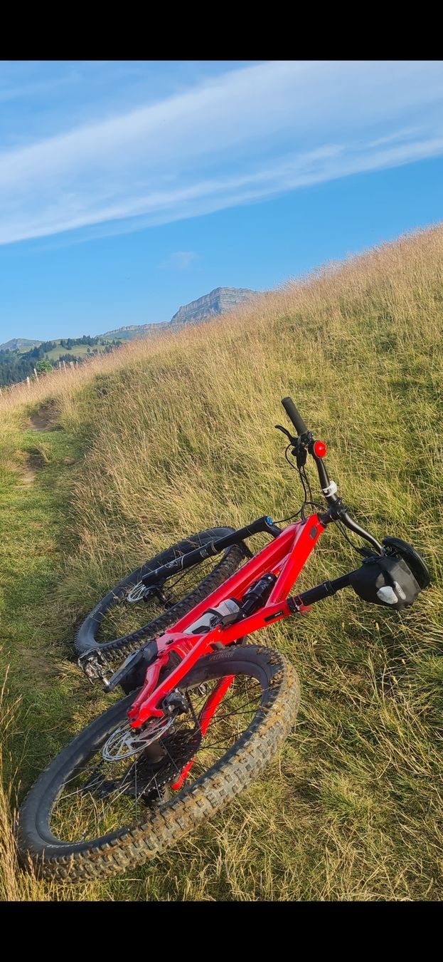 Specialized Biciclette: Turbo Levo Comp Alloy neuwertig  – Usato da Uznach venduto da Joda1 4