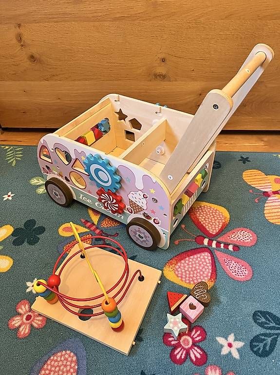 Veicoli per bambini: Lernlaufwagen – Usato da Steinen venduto da Matty89 1