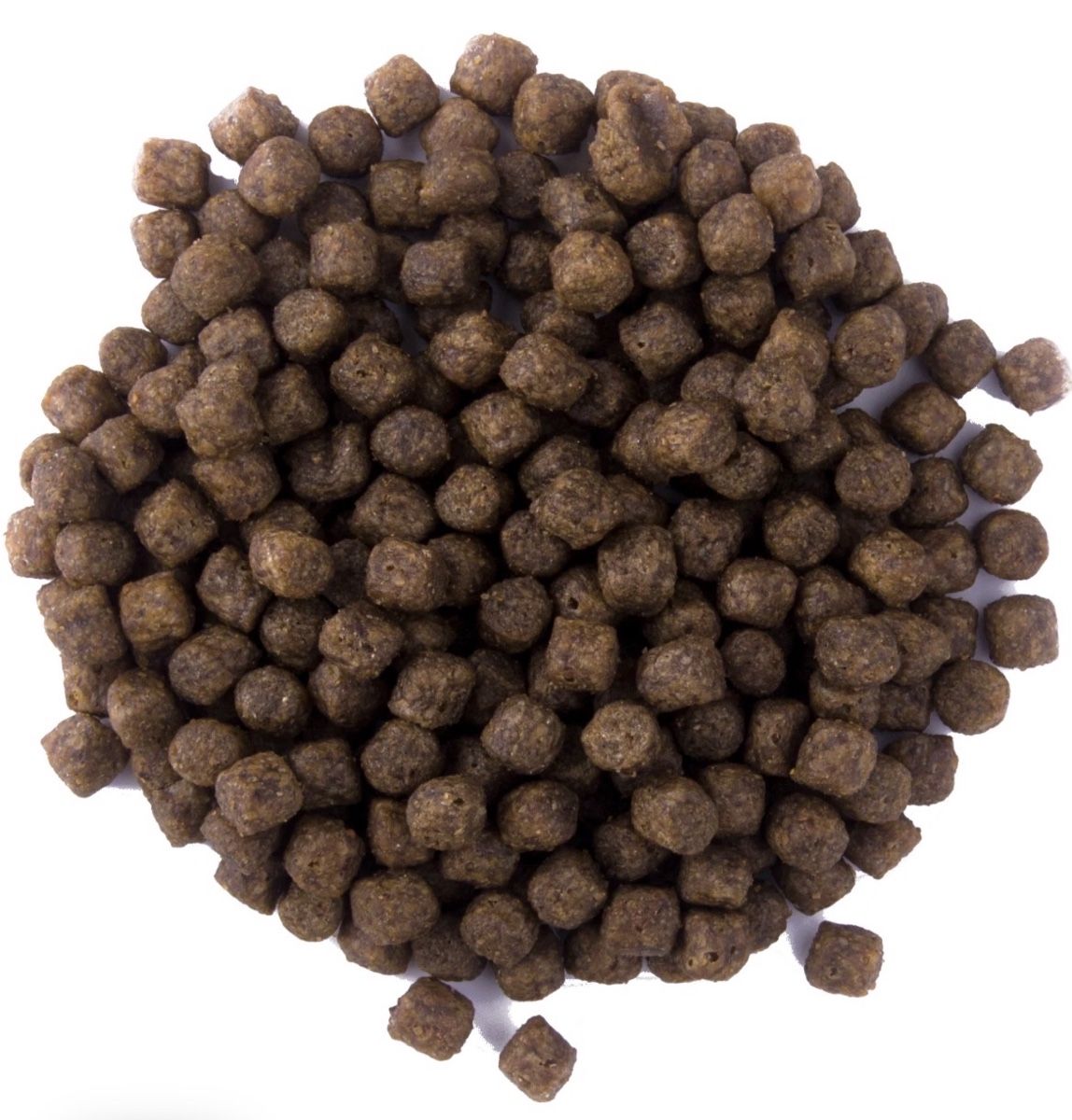 Futter: Futter für Afrikanischen Wels  – Neu und originalverpackt aus Wangen SZ von Schrani_Koi
