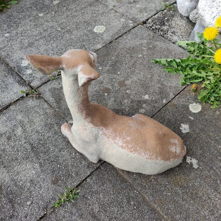 Reh Kaufen auf Ricardo