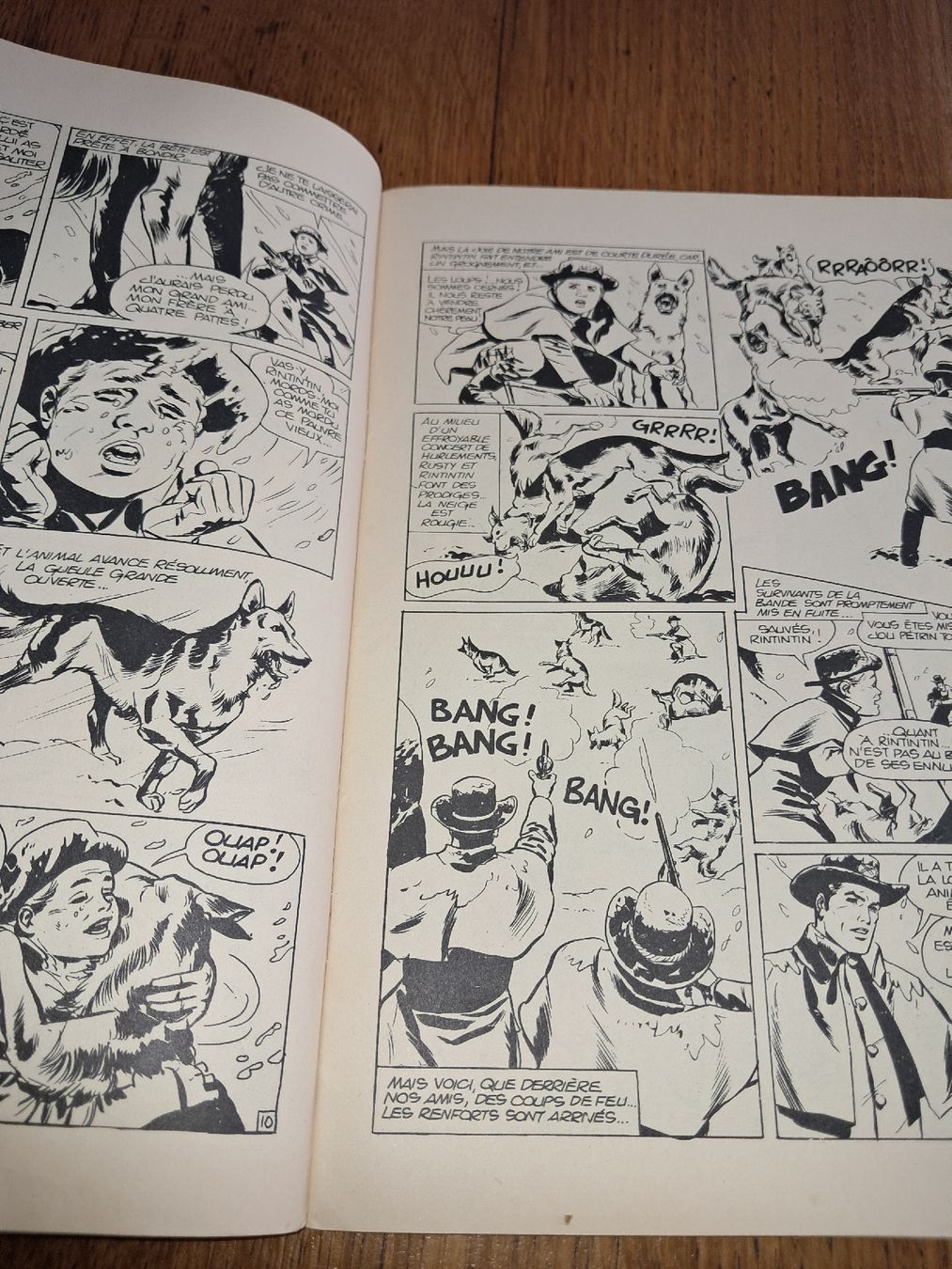 Fumetti: Bd numéro 73 Rin Tin Tin & Rusty – Usato da Le locle venduto da juliensaran 2