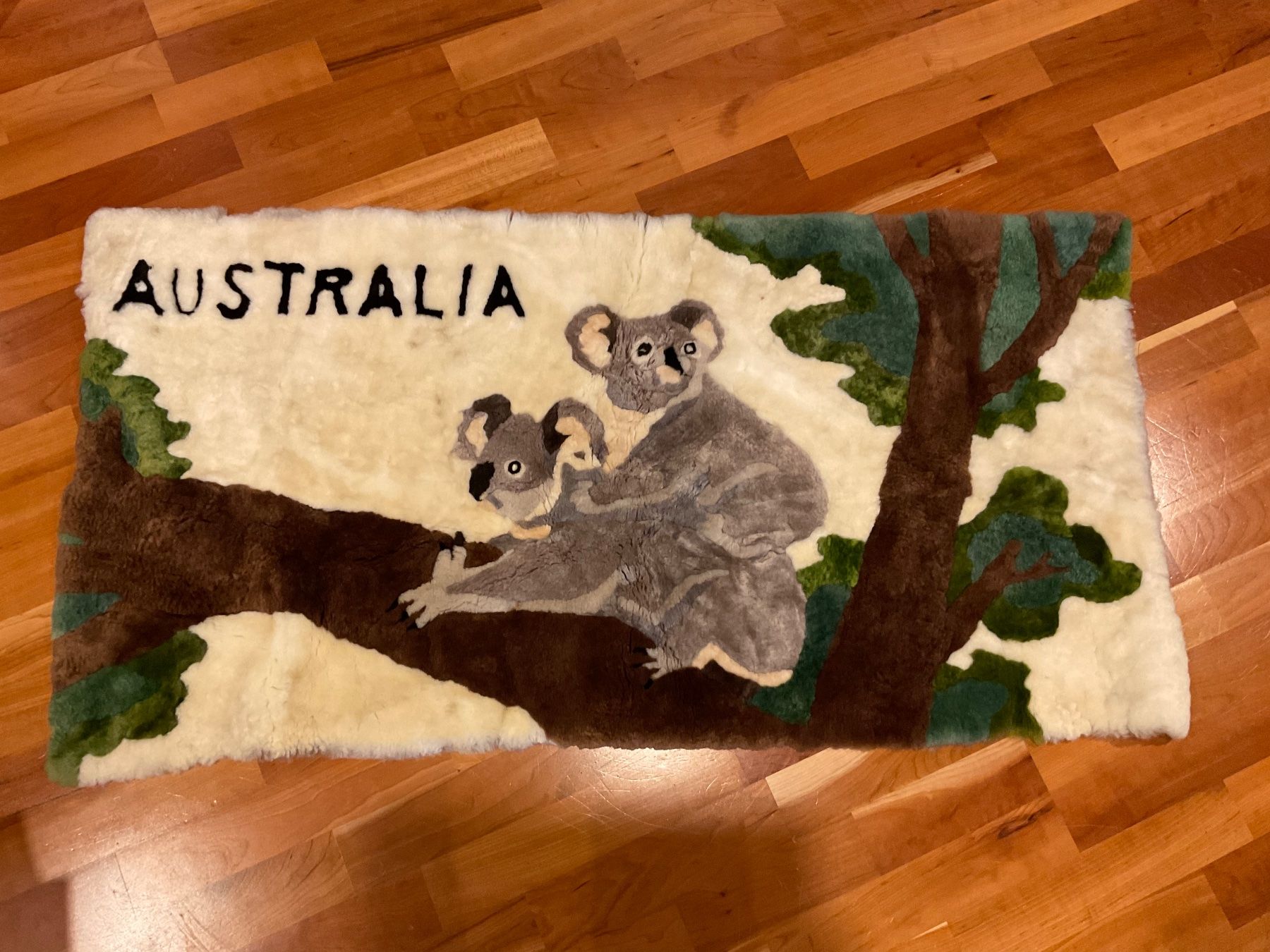 Foto & Immagini: Fell Bild aus Australien Koalabär – Usato da Rümlang venduto da SchumBru10