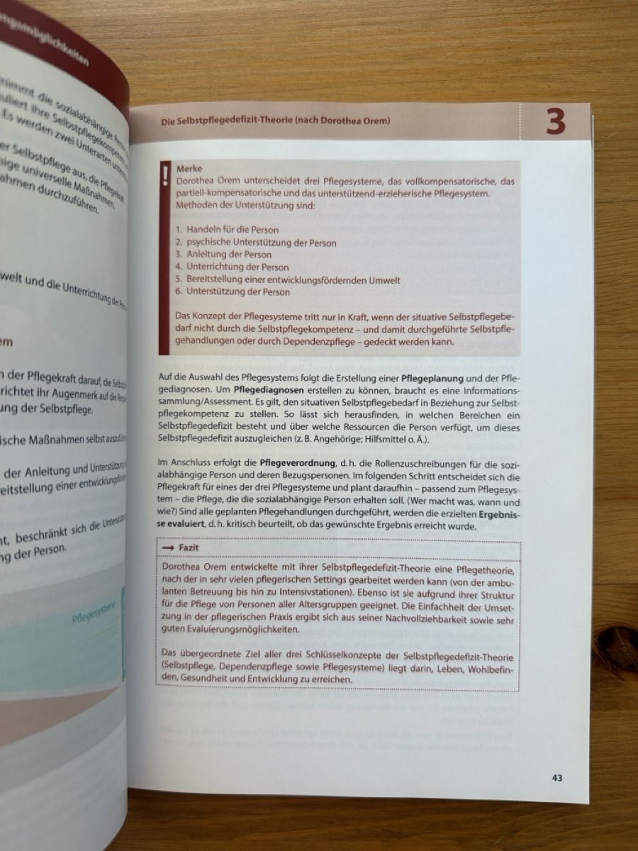 Libri: Pflegewissenschaft – Nuovo (secondo la descrizione) da zürich venduto da may_yj9f 4