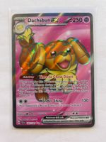 Pokemon Dachsbun EX 160/142 Stellar Crown EN