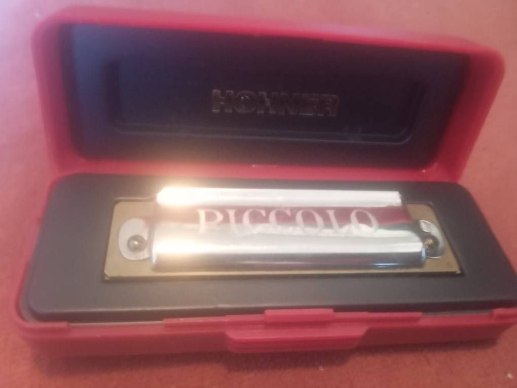 Hohner Strumenti musicali: Mundharmonika Piccolo in C – Usato da Basel venduto da Petergunn