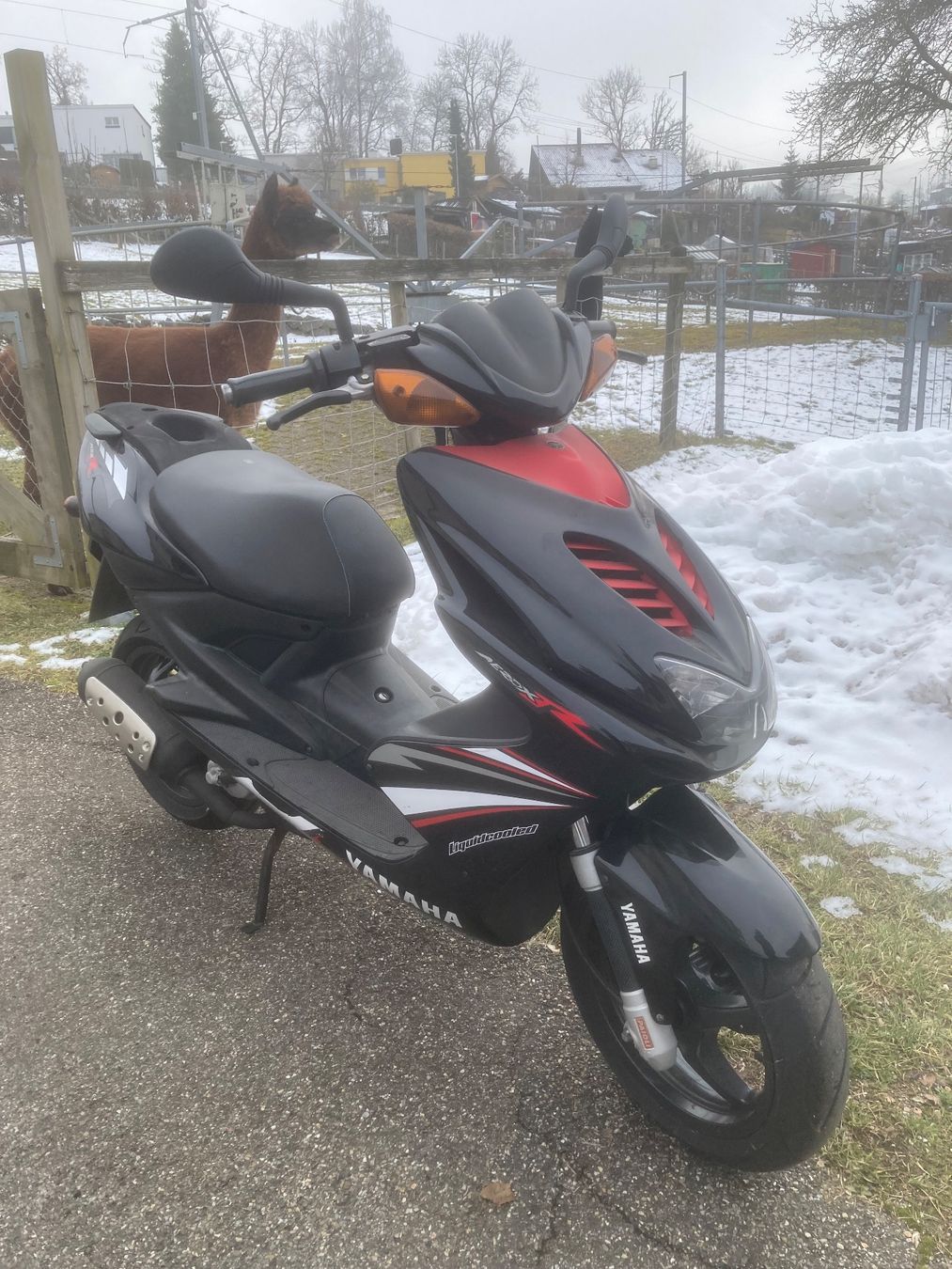Yamaha Scooter: Yamaha aerox 50 – Usato da St. Gallen venduto da zx10r 3