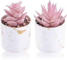 2 Stück Sukkulenten Pflanzen Künstlich Rosa