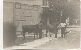 Landwirtschaft/Bauernfamilie mit Stier 1920 ZH/TG?