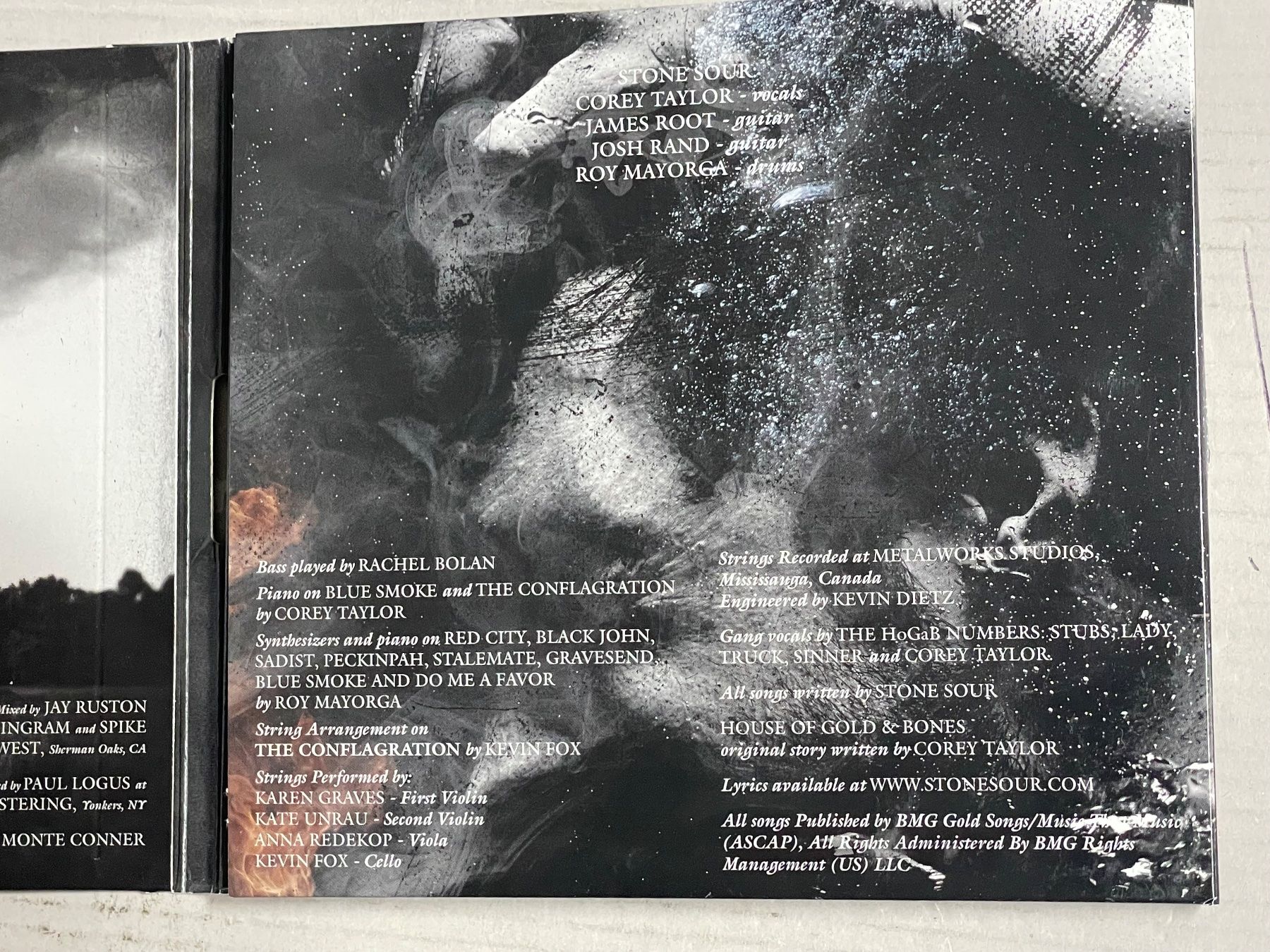 CD: Stone Sour – Usato da Muri b. Bern venduto da AdidasCollector 1
