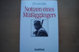Notizen eines Müssiggängers, J.R, von Salis