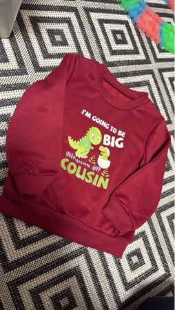 Roter Dino Pullover - Top Zustand, Grösse 92/98