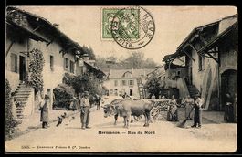 AK Hermance, Rue du Nord