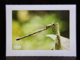 MIGROS MANIA Nature Detectives Nr. 150