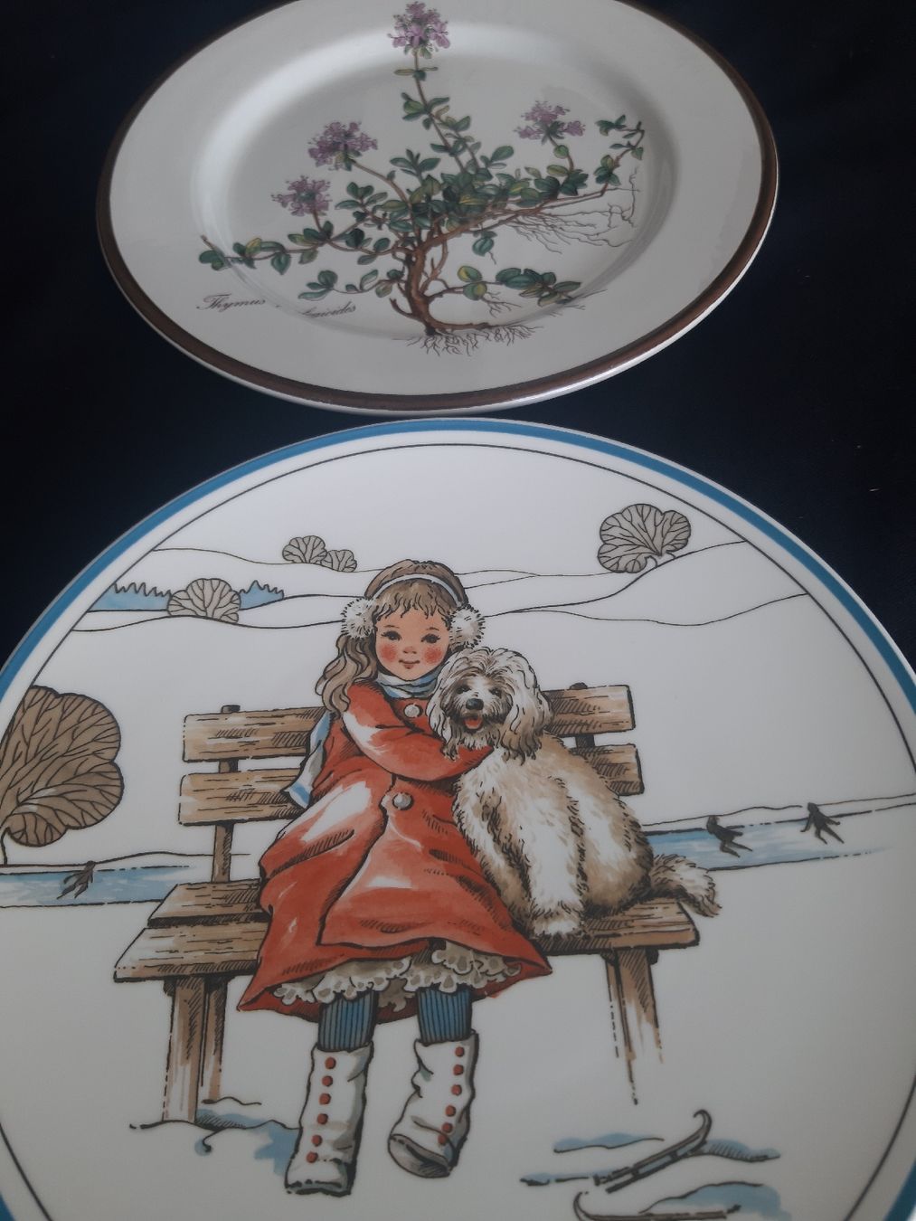 Villeroy & Boch Piatti: 2 Teller V&B. – Nuovo e nell'imballaggio originale da Schattdorf venduto da epp_db95