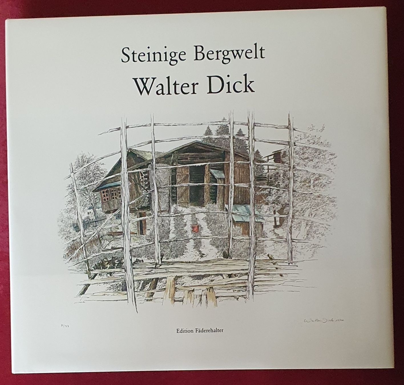 Libri: Buch - Walter Dick - Steinige Bergwelt – Usato da Kreuzlingen venduto da Rschweiz1