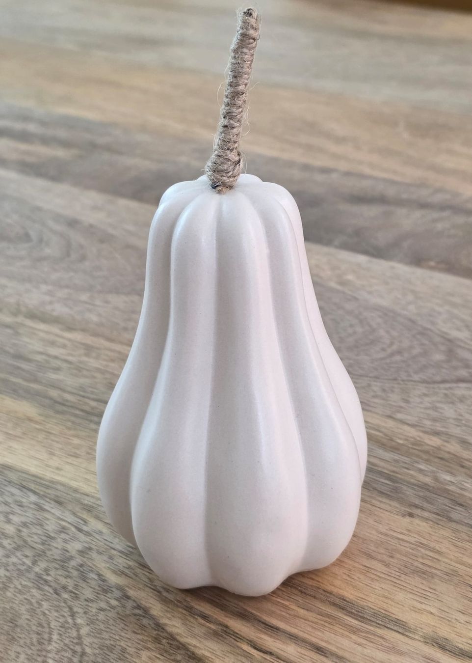Tutte le decorazioni: Deko Kuerbis weiss  – Usato da Rheinsulz venduto da Dred