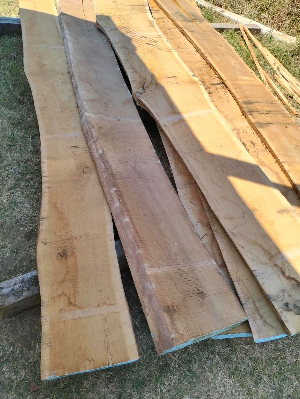 Articoli in legno: Eichenbretter – Usato da Chur venduto da ivon68 5
