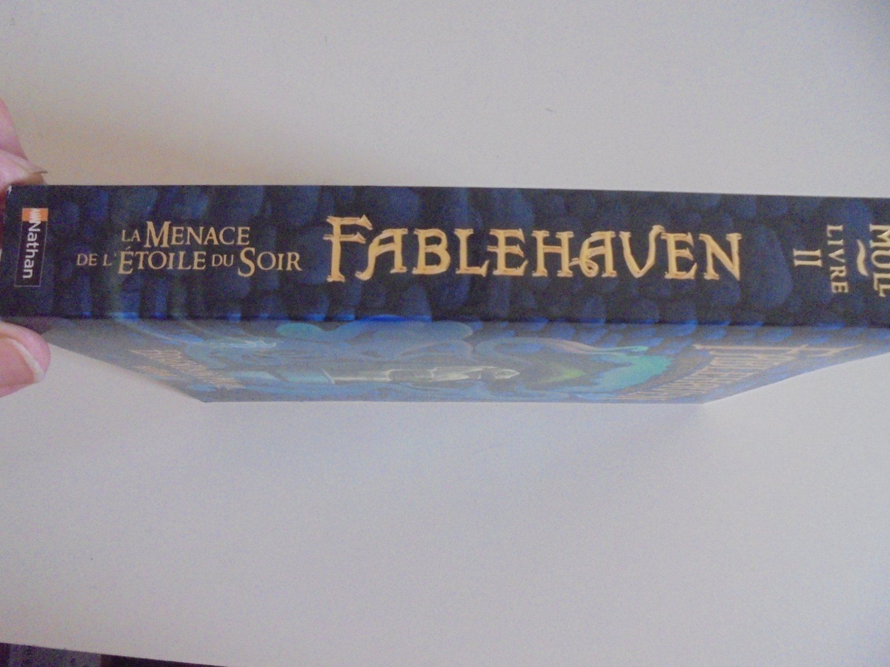 Libri: FABLEHAVEN "2) La menace de l' étoile du soir " Brandon MULL – Usato da Eclépens venduto da Consuelo 2