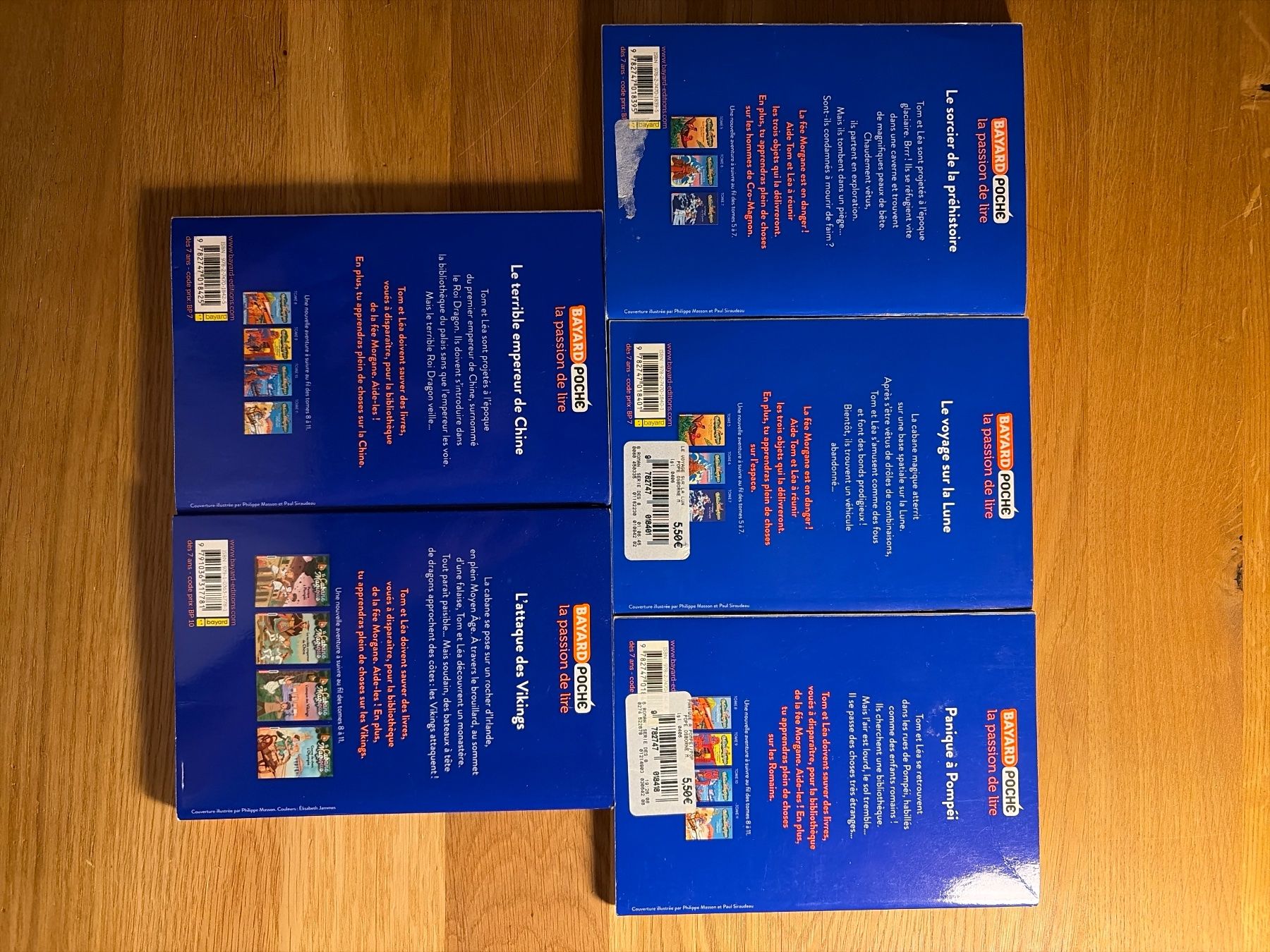 Libri: Livre cabane magique 6 à 10 – Usato da Lausanne venduto da aur_cxg5 1