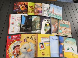 Lots de 16 livres pour enfants
