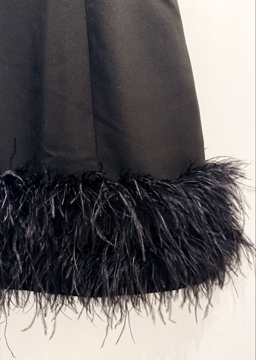 Zara Vestiti: Merveilleuse Robe noire avec plumes – Nuovo e nell'imballaggio originale da Lausanne venduto da Doudoutze 2