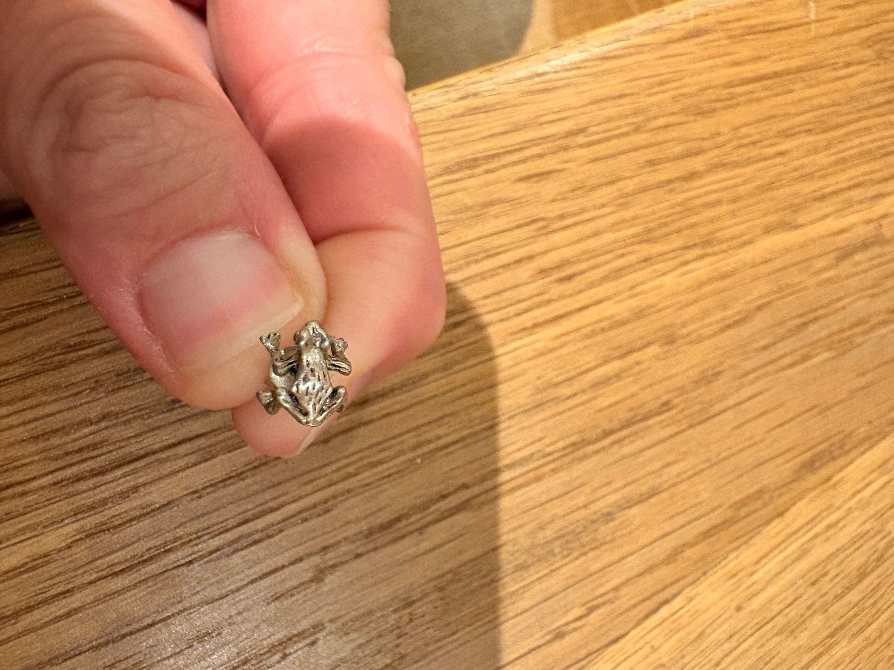 Ohrringe & -stecker: 1 Ohrring, Frosch, Silber, Schmuck – Gebraucht aus Breitenbach von Alice_xy