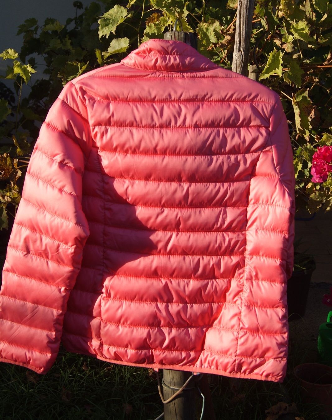 Giacche: Leichtsteppjacke Grösse 36/38 – Nuovo (secondo la descrizione) da Stadel venduto da Wald100 6