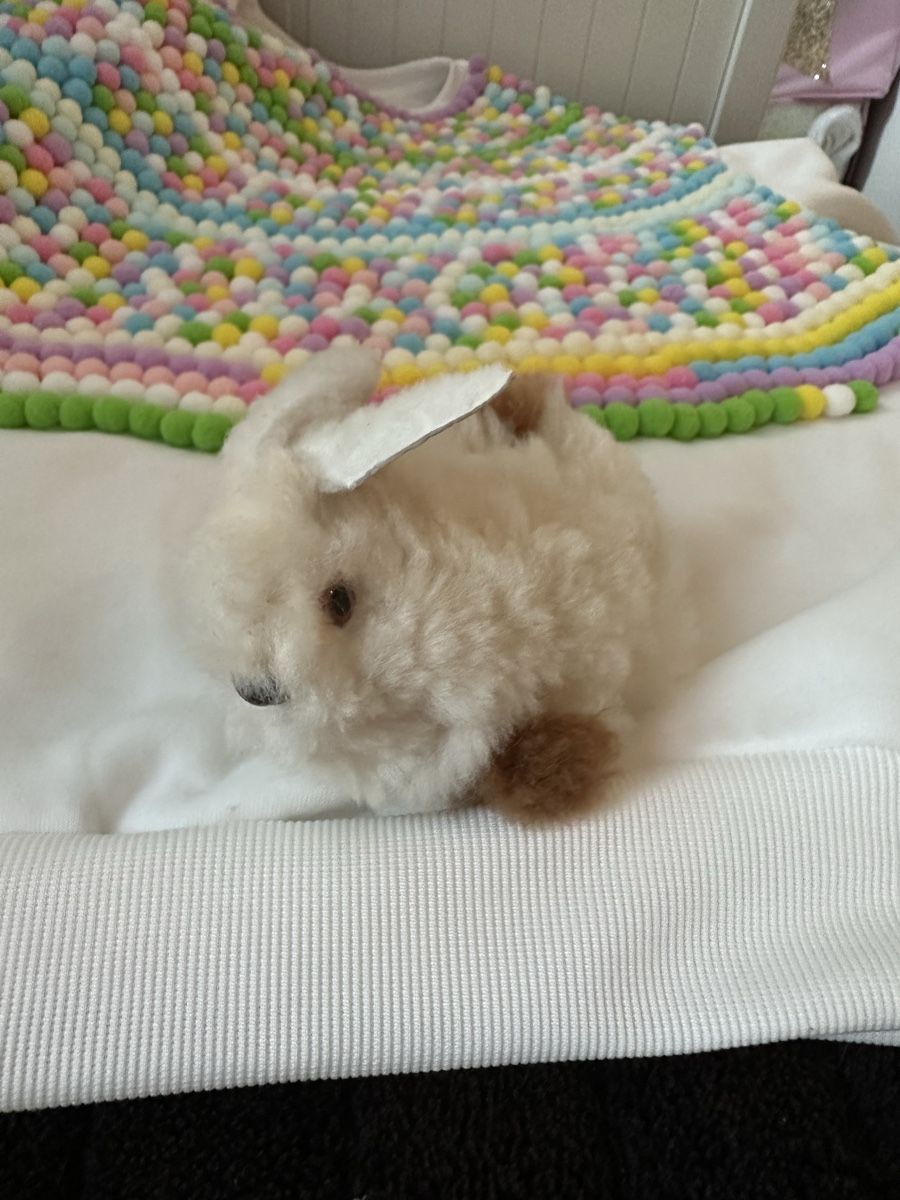 Spielzeuge: Coniglietto di Alpaca 🐰 – Gebraucht aus Mendrisio von ketolin 1