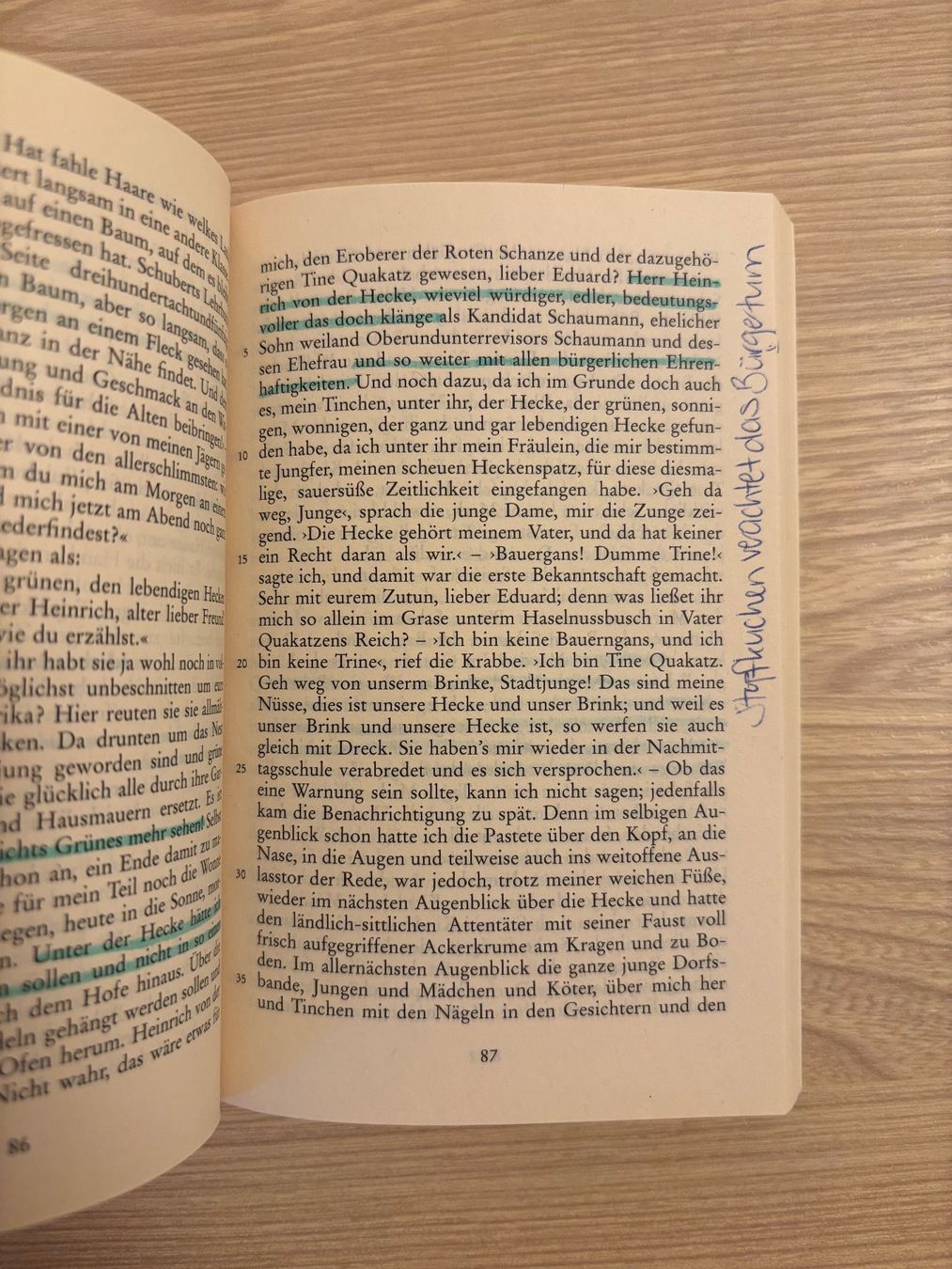 Libri: Stopfkuchen, Wilhelm Raabe – Usato da Niederrohrdorf venduto da Madoqua 4