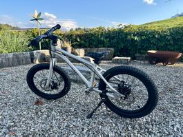 Early Rider Seeker 16 - Riemenantrieb und Scheibenbremsen