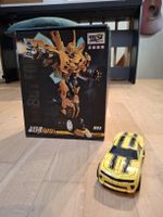 Wei Jiang Battle Hornet M03