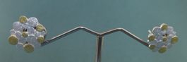 Ohrstecker 925 Silber mit Teilvergoldung
