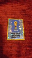 Panini Sticker (FWC 8) USA