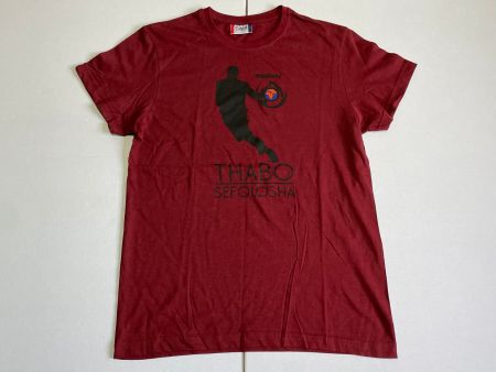 T-Shirt Thabo Sefolosha basketball size S New