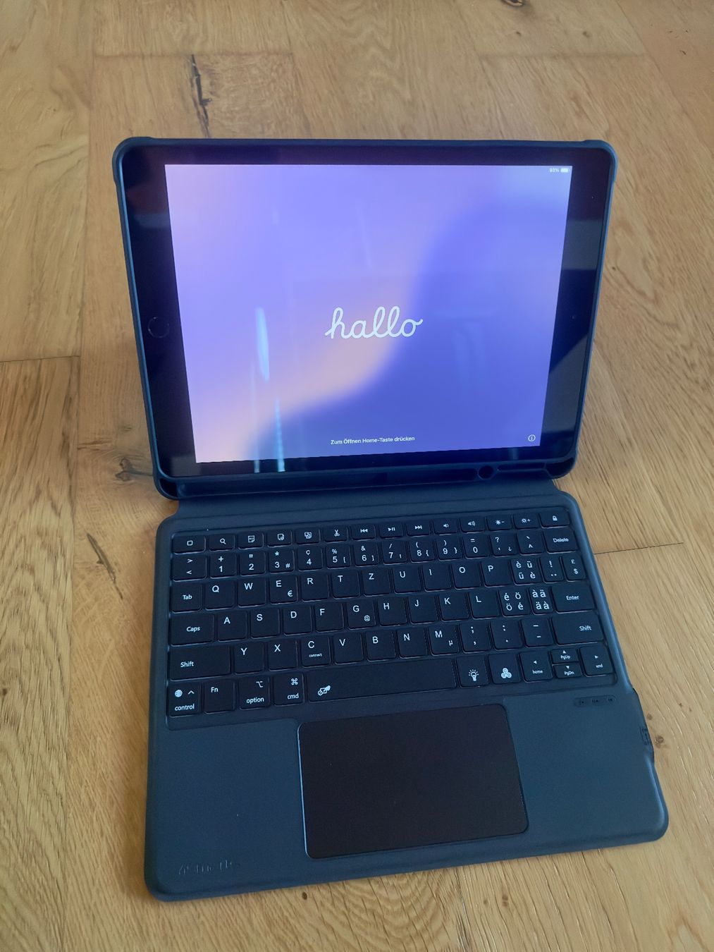 Apple Tablet PC: Apple iPad – Usato da Wolfhausen venduto da rog_vjh5 3