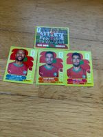 Panini MAR 9,11,13,20