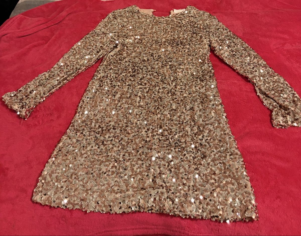 Vestiti & Gonne: Glitzerkleid – Nuovo (secondo la descrizione) da Geroldswil venduto da ali_rpw6