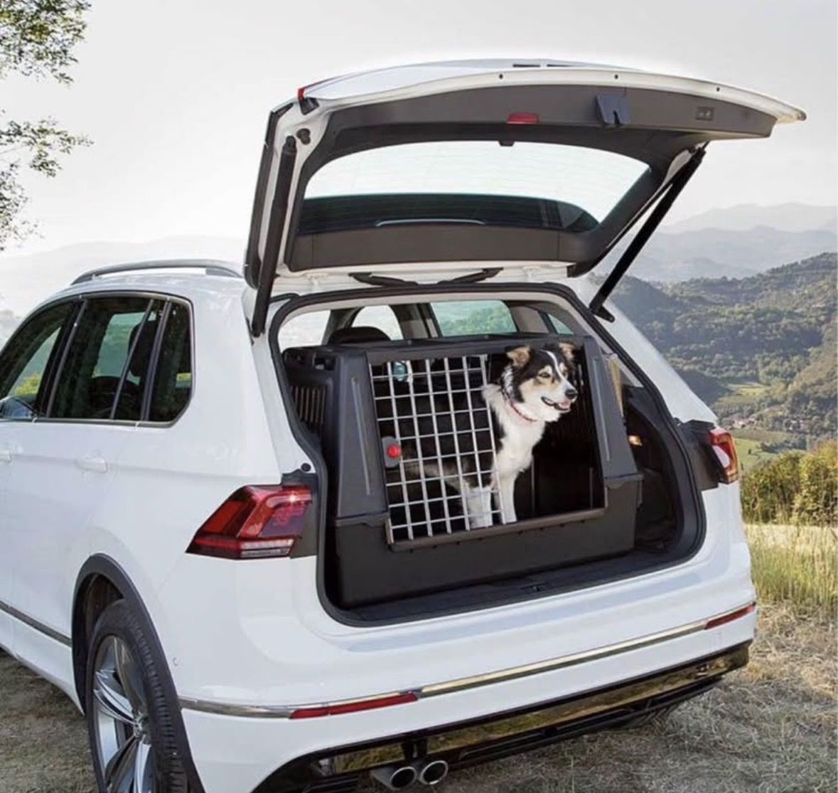Ferplast Cages, transport & sécurité: Ferplast Hundebox – Neuf (Voir description) à Visp par hom_lmq8 2